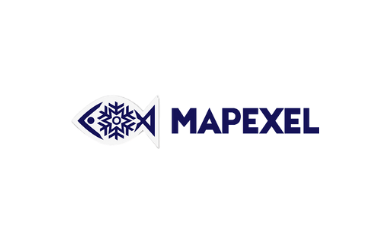 mapexel.png